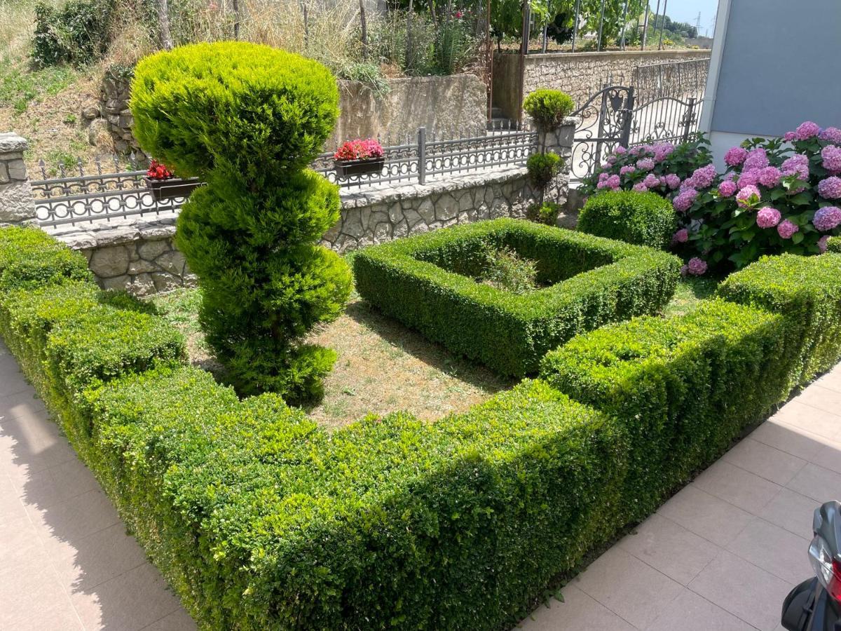 אולסינץ' Kasneci Apartments מראה חיצוני תמונה